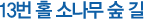 13번홀 소나무 숲 길