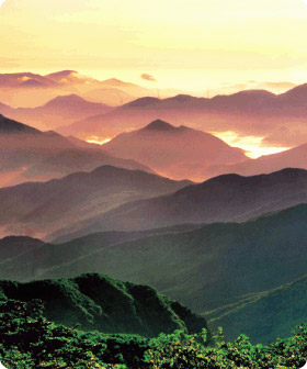 태백산 사진